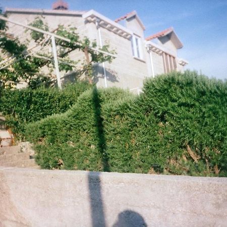 Family House Lise Daire Mlini Dış mekan fotoğraf